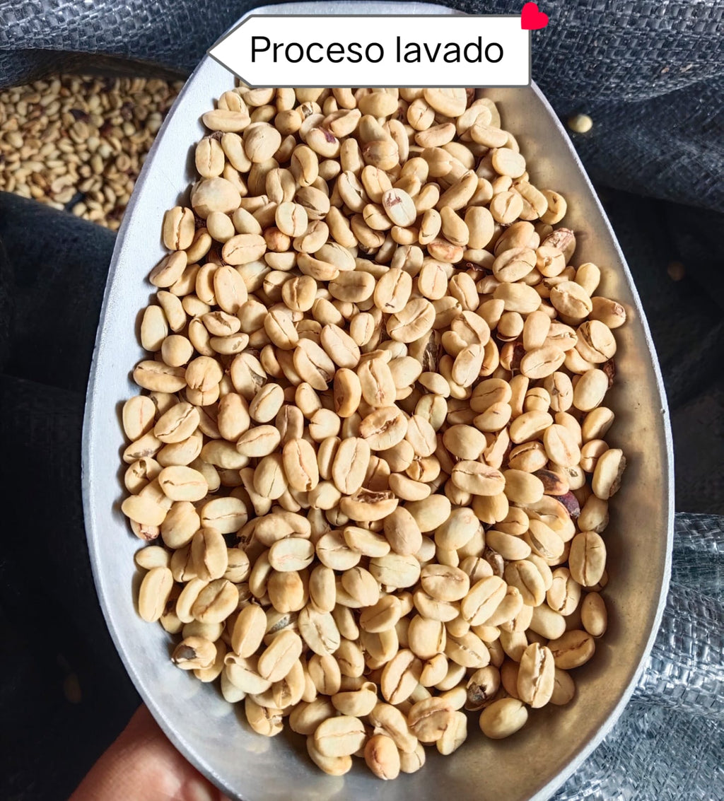 Café de Amazonas, Gourmet, en Grano Entero, tostado Medio, 250g.
