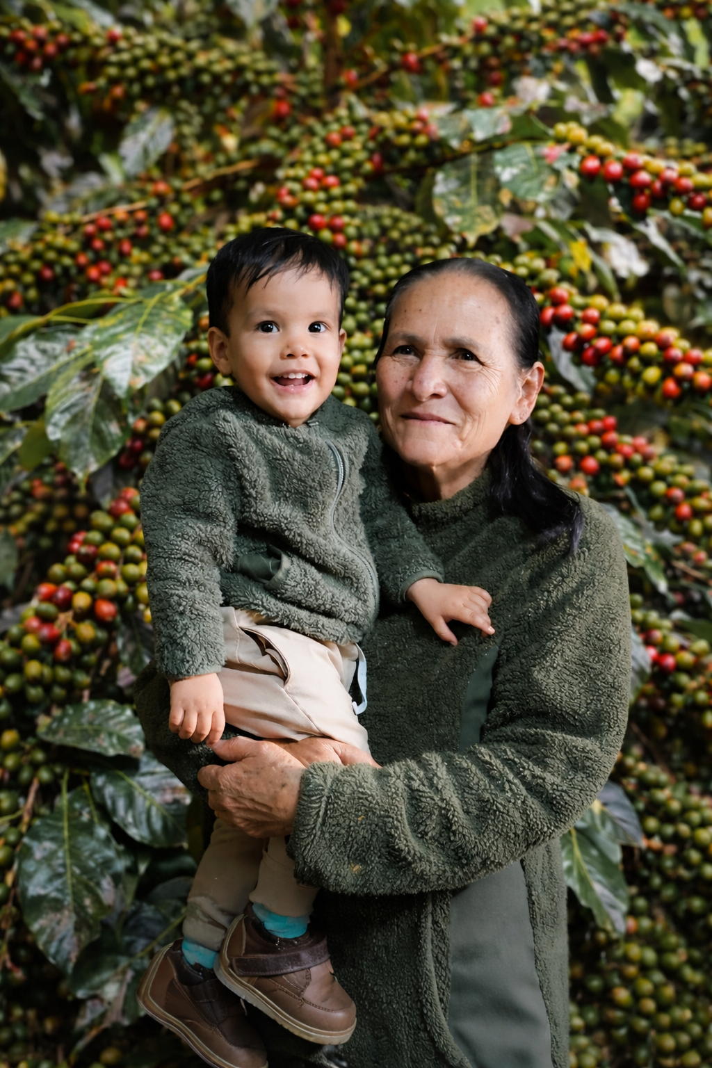 Café de Amazonas, Gourmet, en Grano Entero, tostado Medio, 250g.