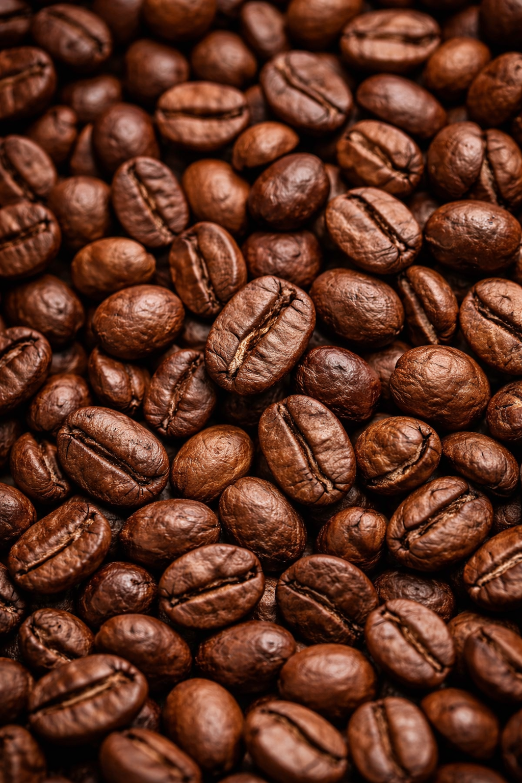 Café de Amazonas, Gourmet, en Grano Entero, tostado Medio, 250g.